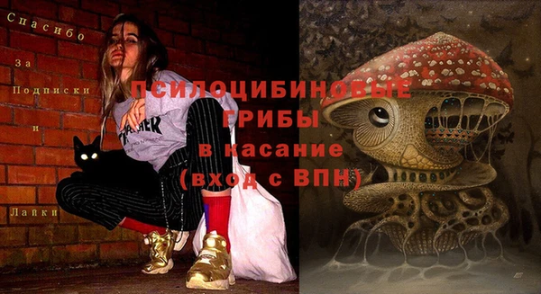 не бодяженный Новодвинск