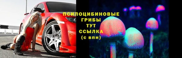 герыч Новокубанск