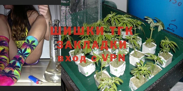 трава Новозыбков