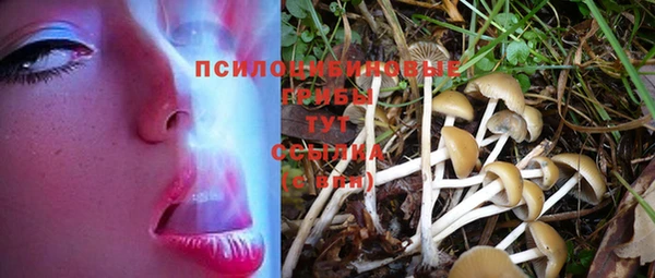трава Новозыбков