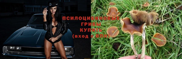амф Нязепетровск